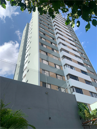 Foto REO1131961