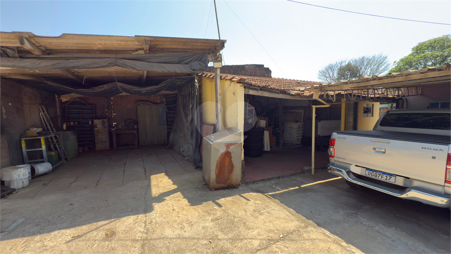 Foto REO1131965
