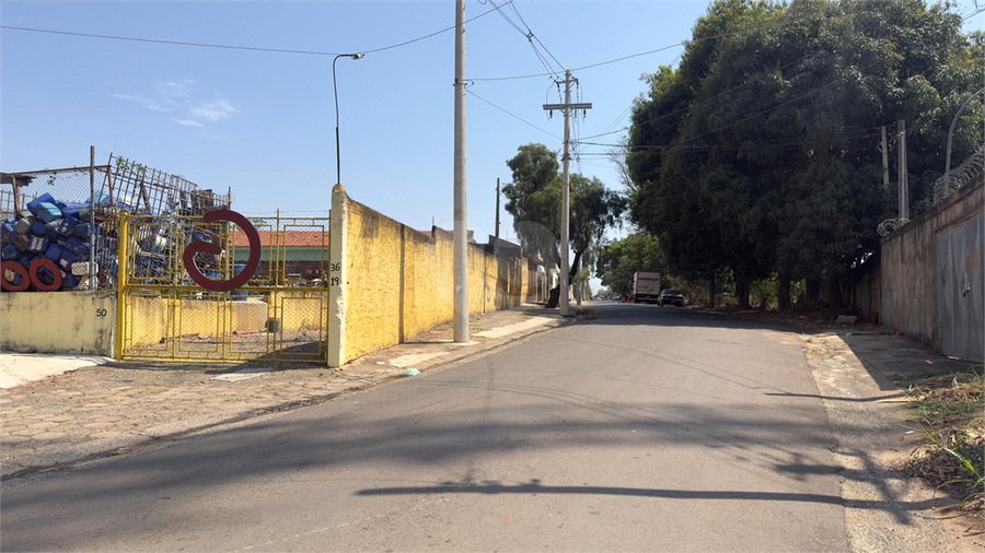 Foto REO1131965