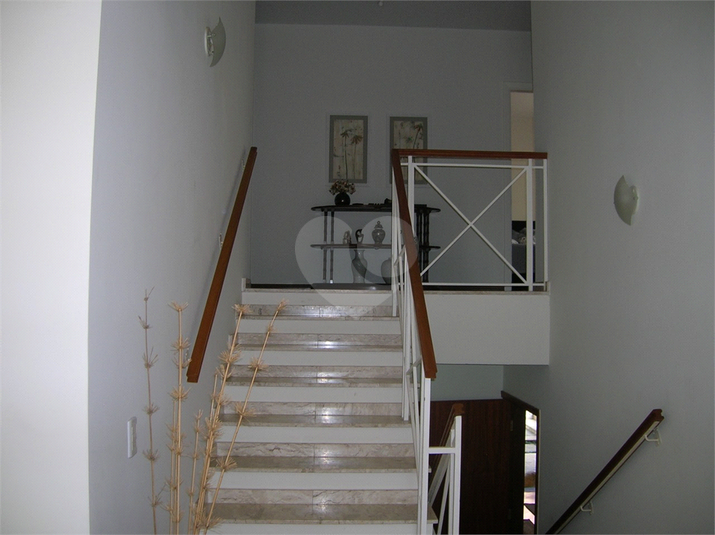 Foto REO1131991
