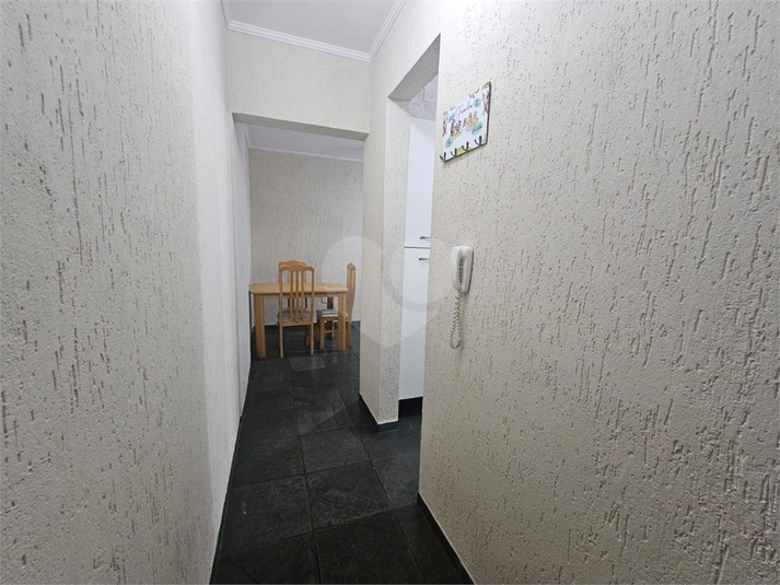 Foto REO1131994