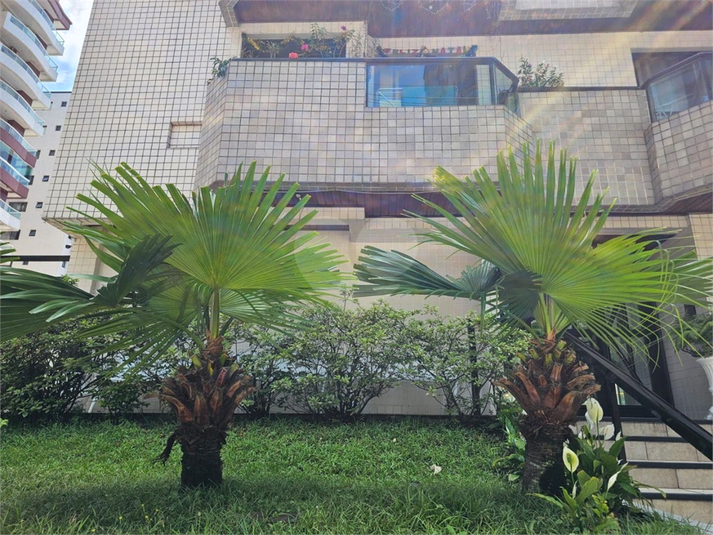 Foto REO1131994