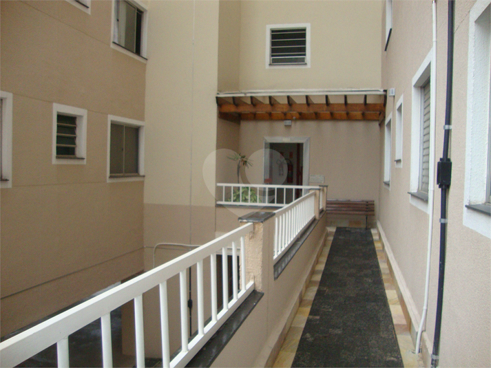 Foto REO1132011