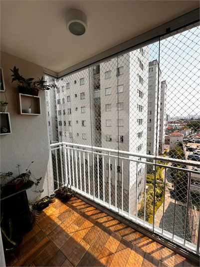 Foto REO1132032