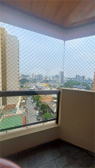 Foto REO1132036