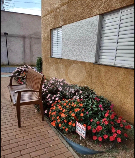 Foto REO1132044