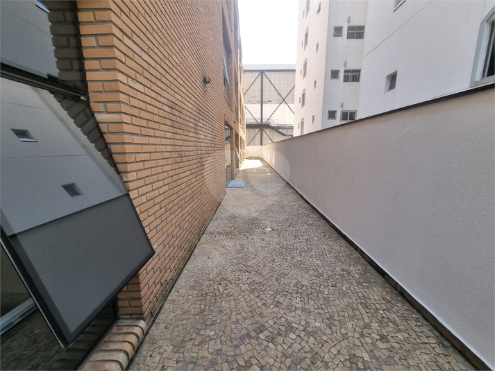 Foto REO1132059