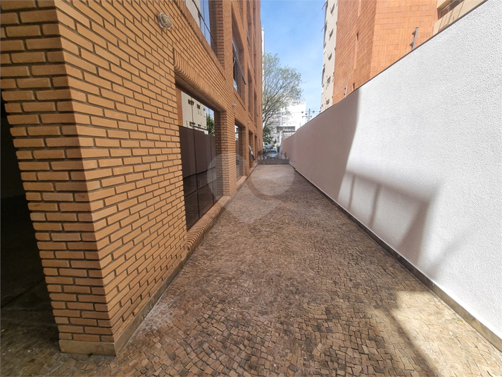 Foto REO1132059