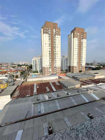 Foto REO1132070