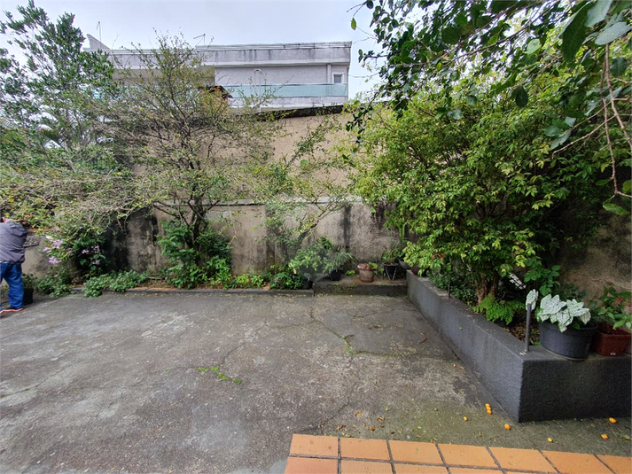 Foto REO1132077