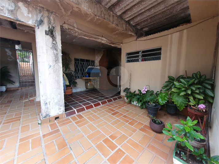 Foto REO1132077