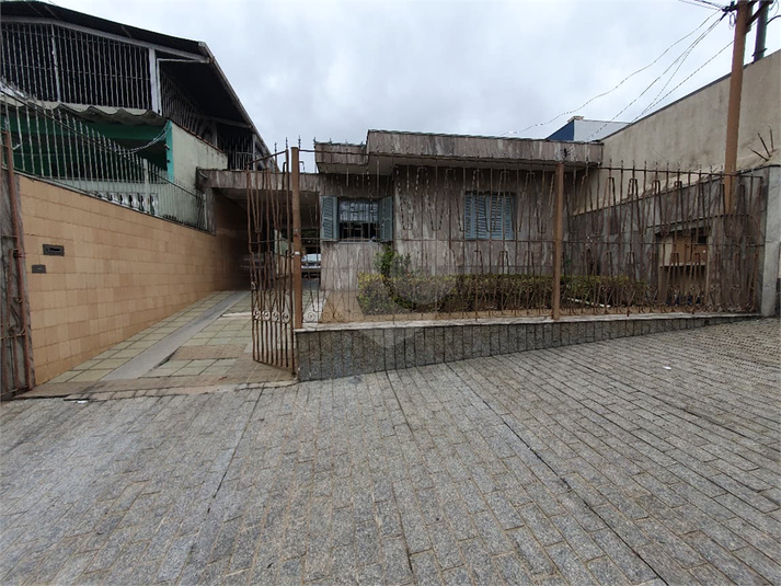 Foto REO1132077