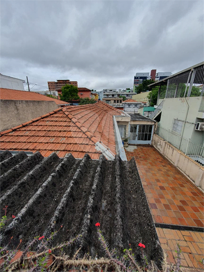 Foto REO1132077