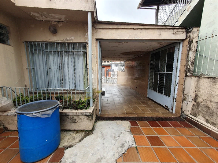 Foto REO1132077