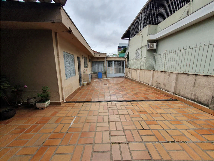 Foto REO1132077