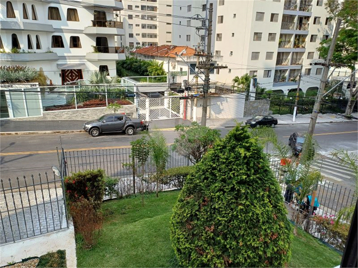 Foto REO1132086