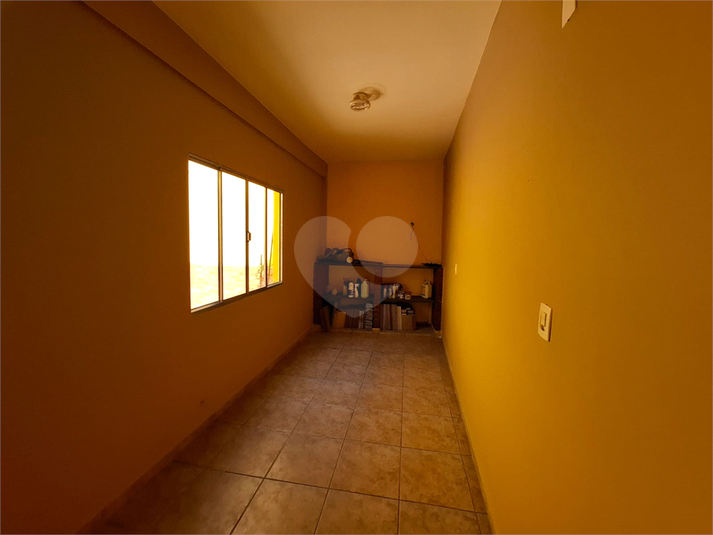 Foto REO1132093