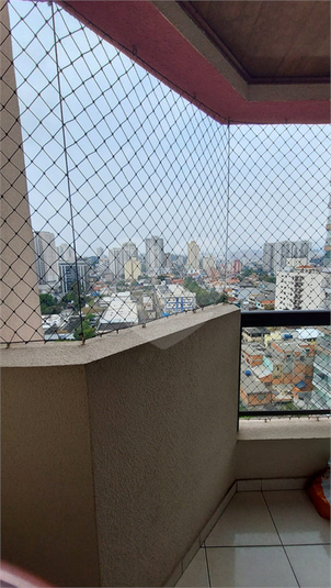 Foto REO1132096