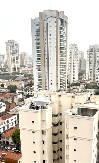 Foto REO1132099
