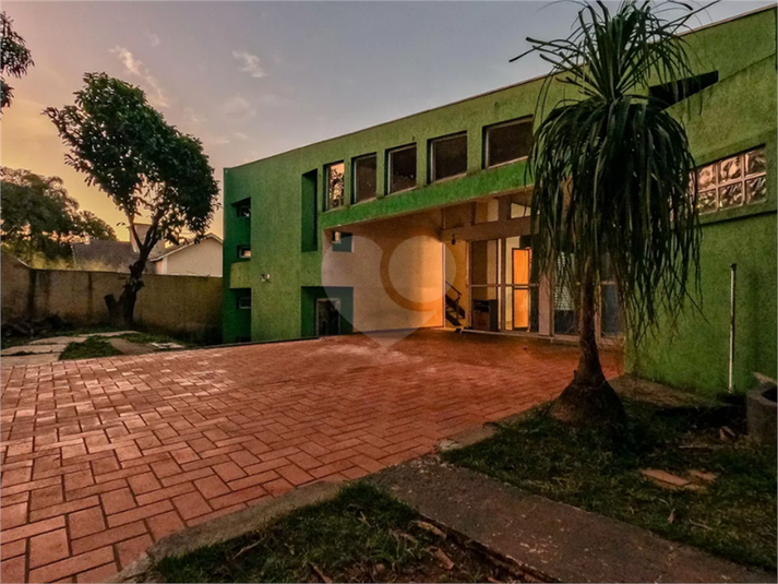 Foto REO1132102
