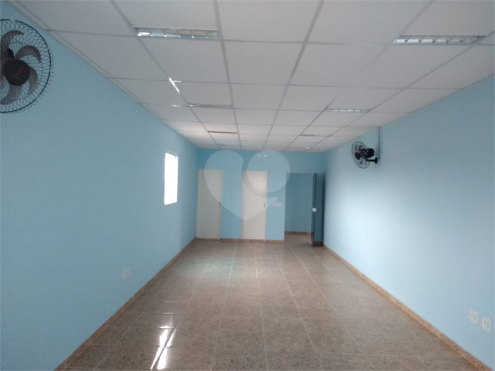 Foto REO1132103