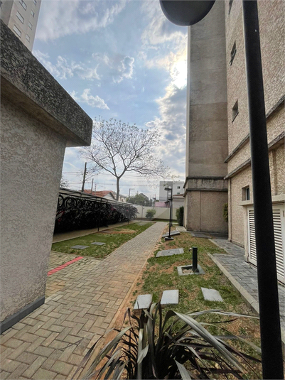 Foto REO1132104