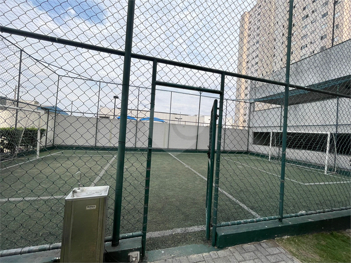 Foto REO1132104