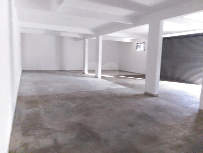 Foto REO1132130