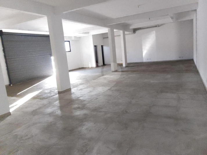 Foto REO1132130