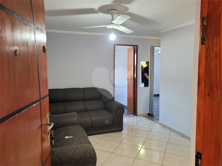 Foto REO1132139