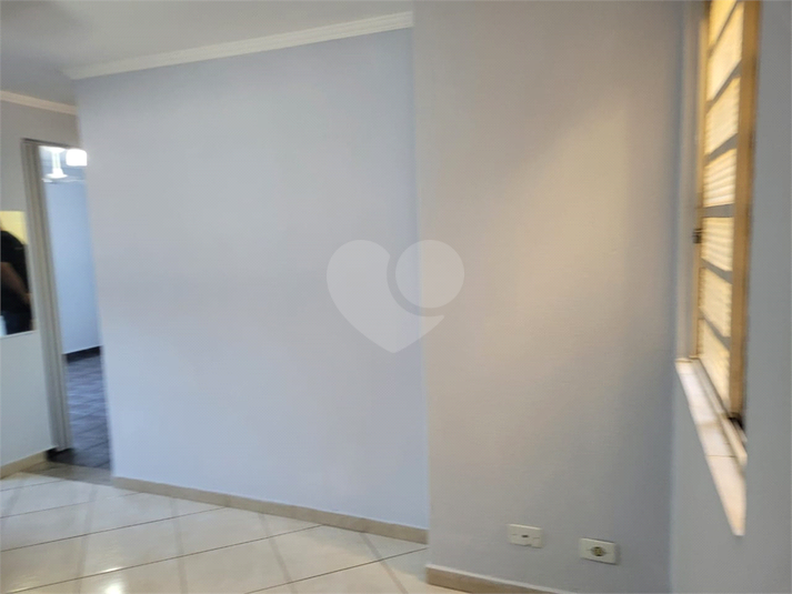 Foto REO1132139