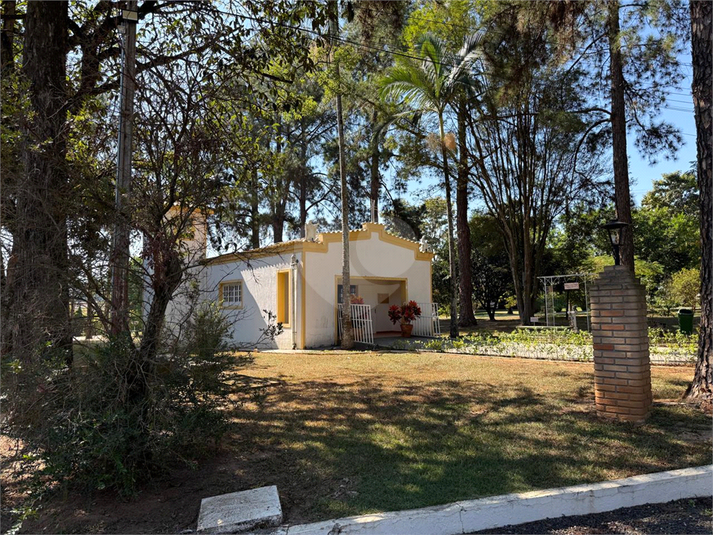 Foto REO1132142