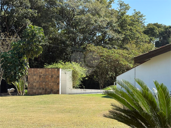 Foto REO1132142