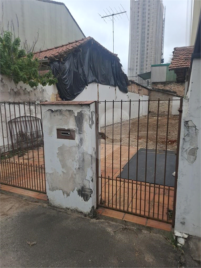 Foto REO1132148