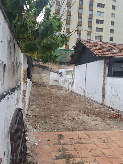 Foto REO1132148