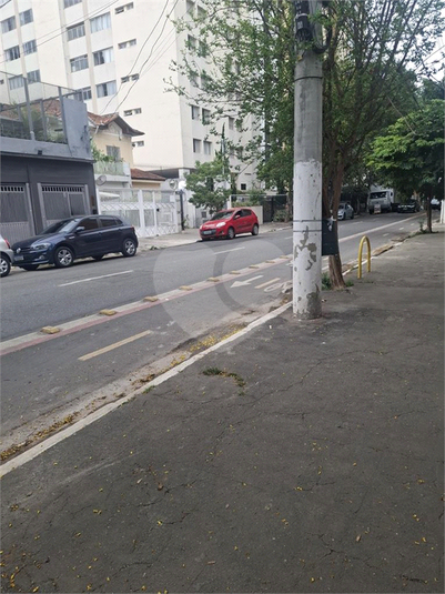 Foto REO1132148