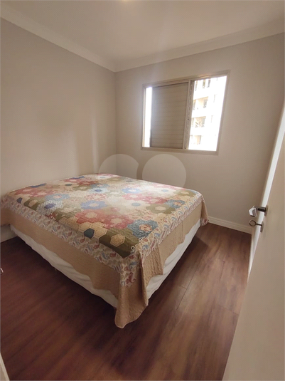 Foto REO1132153
