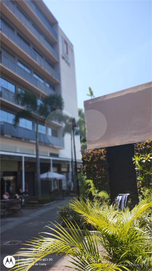 Foto REO1132165