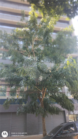 Foto REO1132165