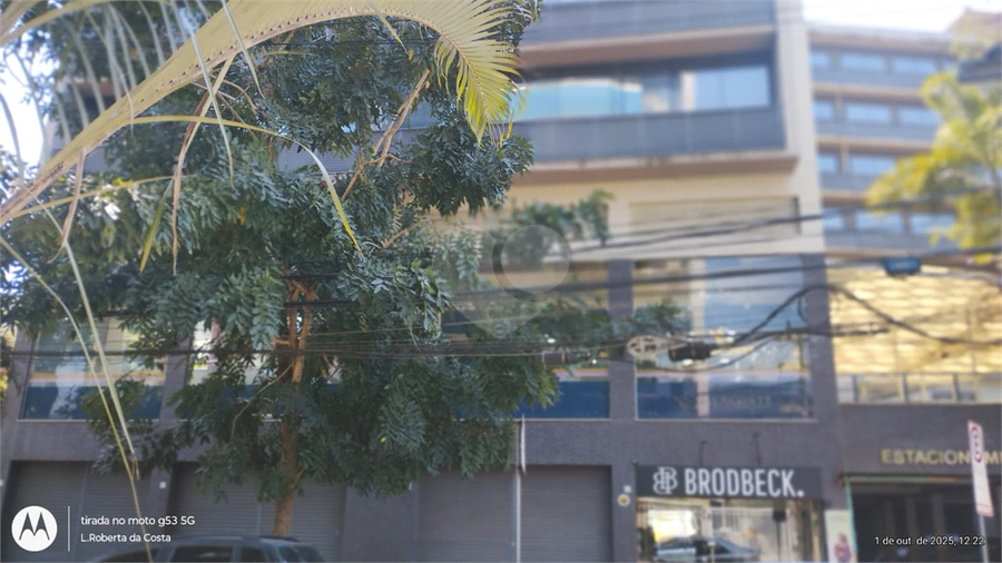 Foto REO1132165