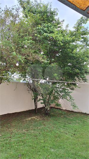 Foto REO1132196