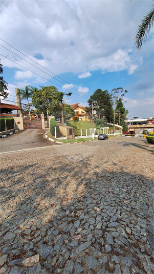 Foto REO1132196