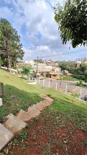 Foto REO1132196