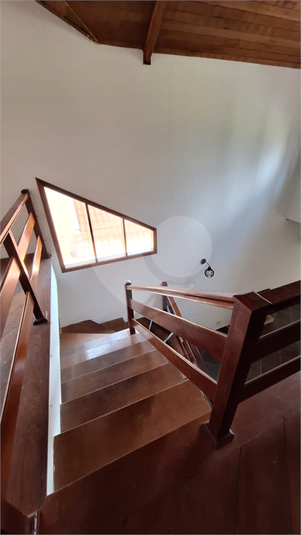 Foto REO1132196