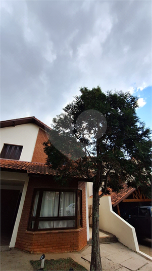 Foto REO1132196