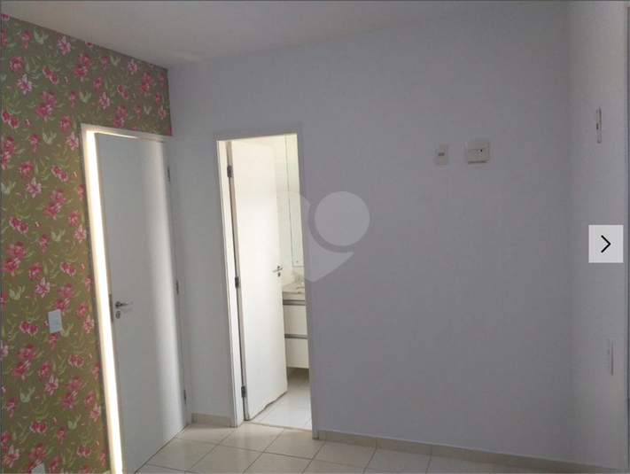 Foto REO1132202