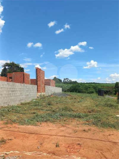 Foto REO1132221