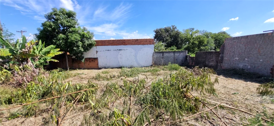 Foto REO1132226