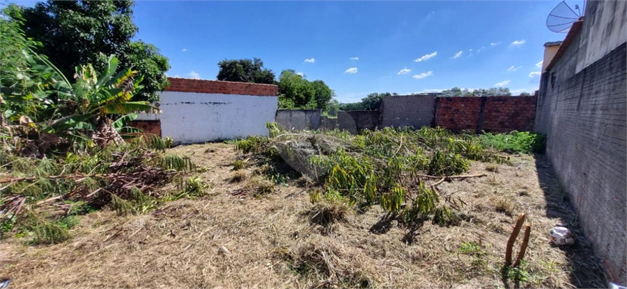 Foto REO1132226