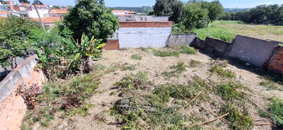 Foto REO1132226